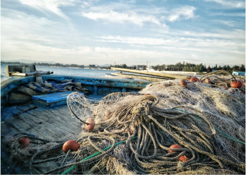 I Tavoli del Mare a Fiumicino: dialogo e impegno per l’economia blu